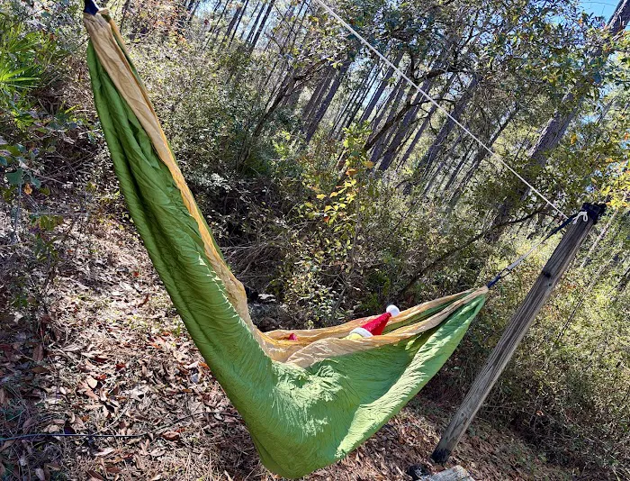 Blackwater River State Park Campground Picture 3
