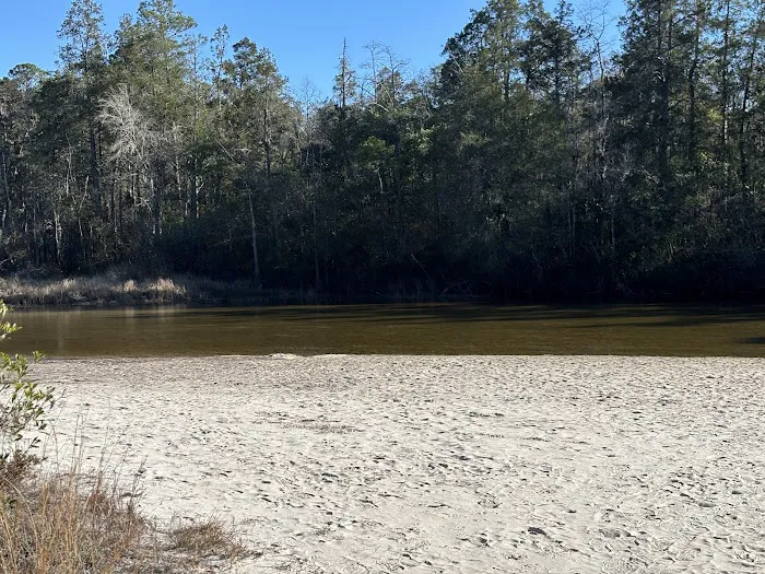 Blackwater River State Park Campground Picture 1