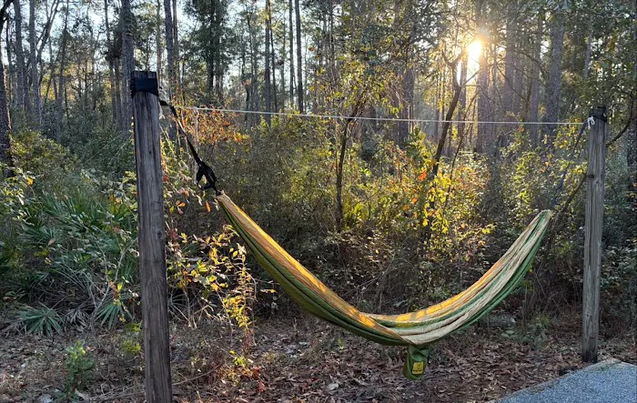 Blackwater River State Park Campground Picture 8