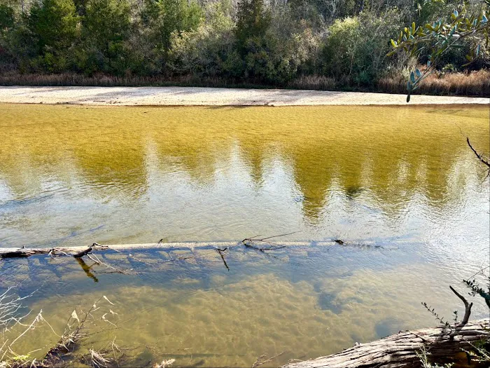 Blackwater River State Park Campground Picture 10
