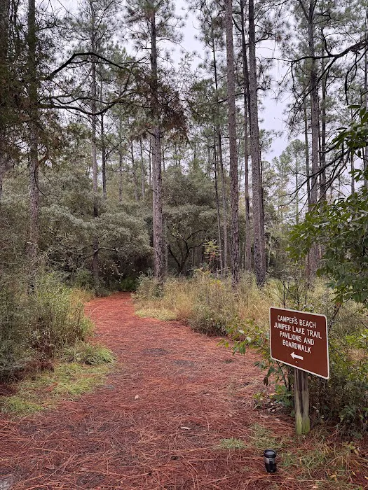 Blackwater River State Park Campground Picture 6