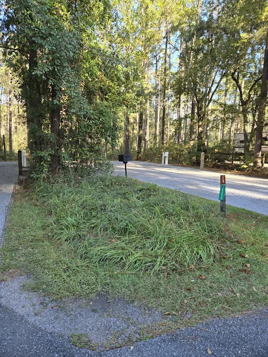 Blackwater River State Park Campground Picture 7