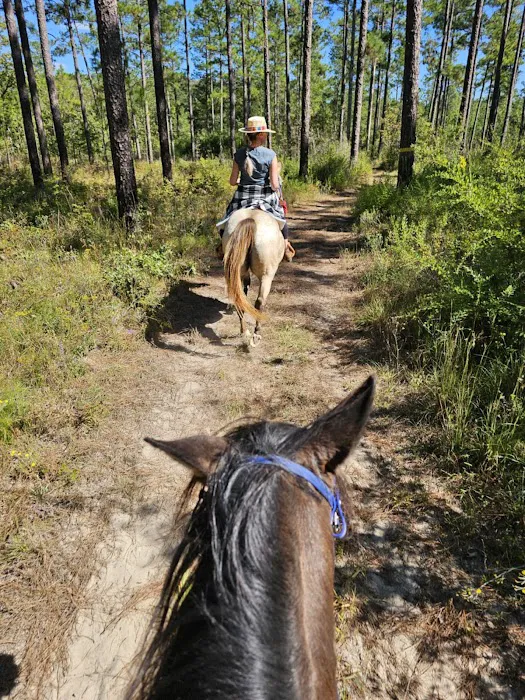 Rocco Ridge Ranch LLC Picture 8