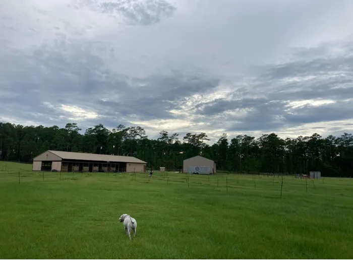 Rocco Ridge Ranch LLC Picture 1