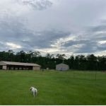 Rocco Ridge Ranch LLC