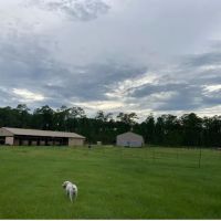 Rocco Ridge Ranch LLC ico