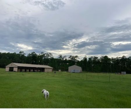 Rocco Ridge Ranch LLC