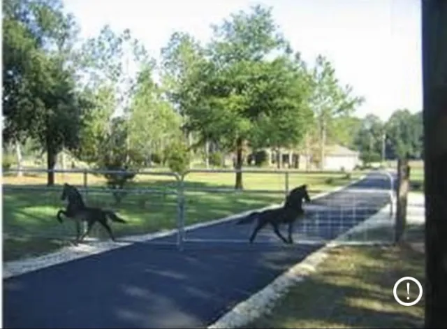 Rocco Ridge Ranch LLC Picture 5