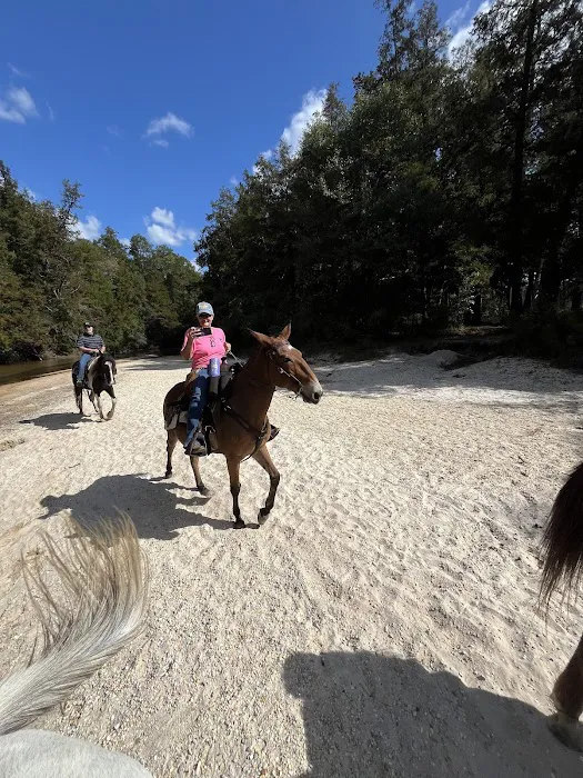 Rocco Ridge Ranch LLC Picture 2