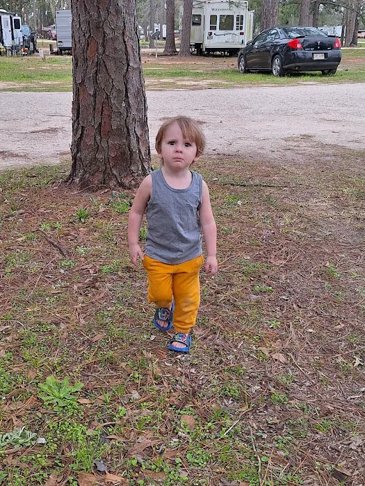 Lake Kristina Camp Grounds Picture 5