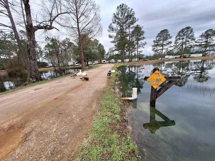 Lake Kristina Camp Grounds Picture 2