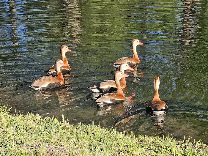 Lake Kristina Camp Grounds Picture 9