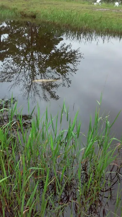 Lake Kristina Camp Grounds Picture 6