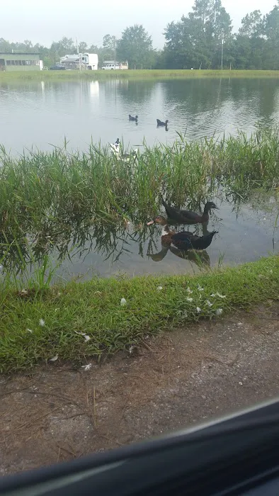 Lake Kristina Camp Grounds Picture 8