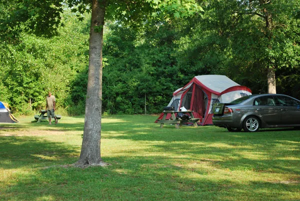 Milton / Gulf Pines KOA Holiday Picture 7