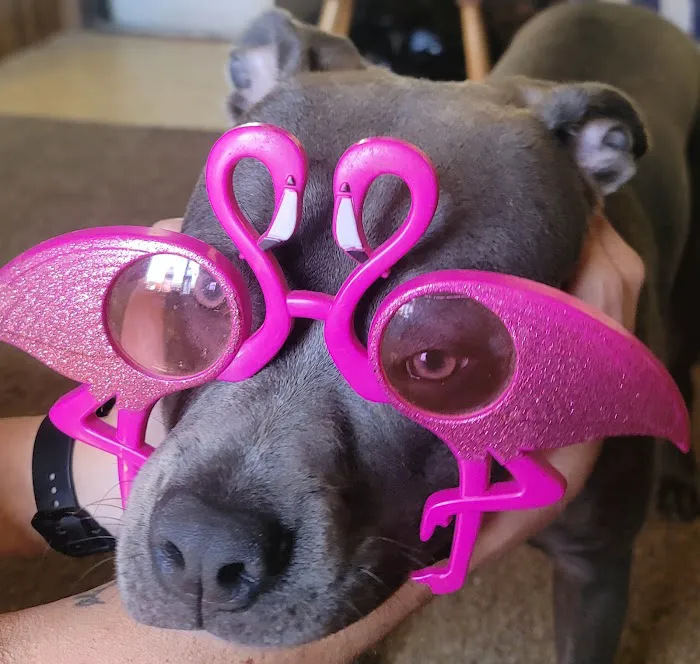 Malakai. Camp grounds. Picture 3