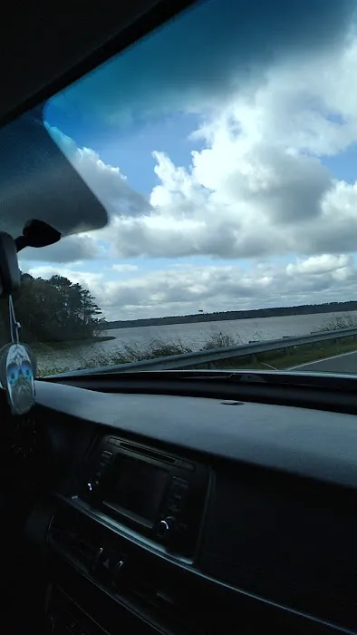 Gin Creek Campground Picture 2