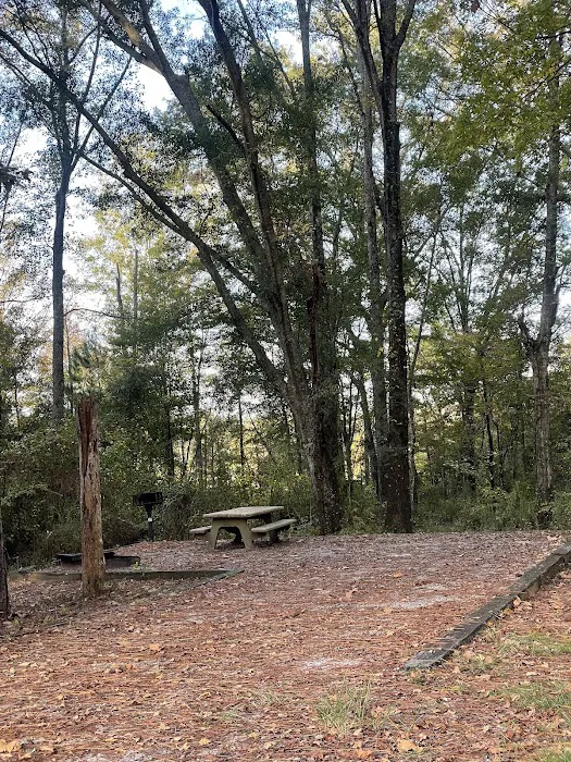 Gin Creek Campground Picture 7