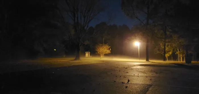 Gin Creek Campground Picture 5