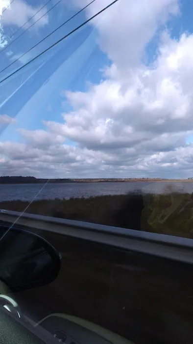 Gin Creek Campground Picture 4