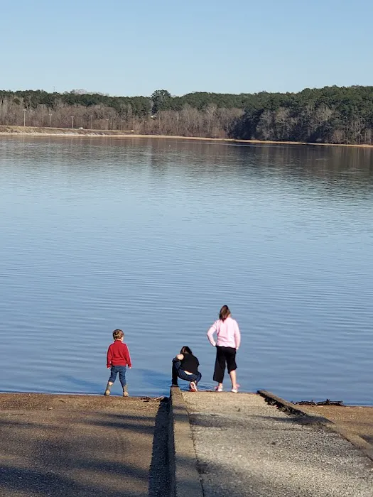 Gin Creek Campground Picture 1