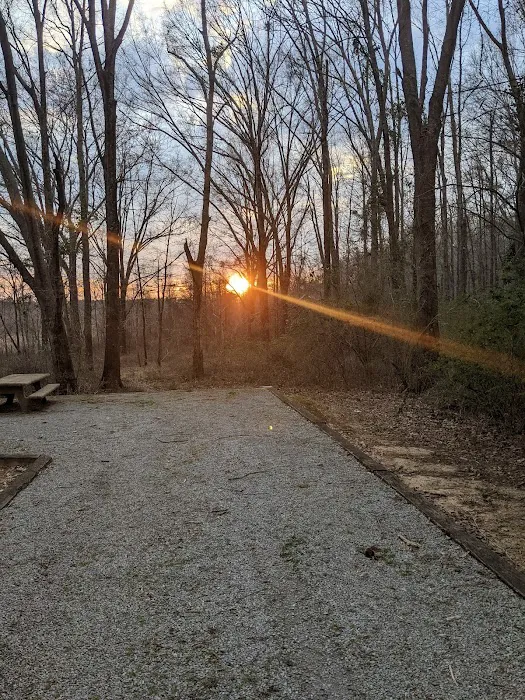 Gin Creek Campground Picture 3