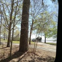 Twiltley Branch Campground ico