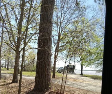 Twiltley Branch Campground