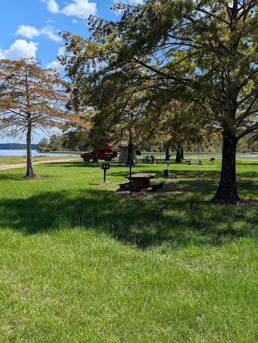 Twiltley Branch Campground Picture 4