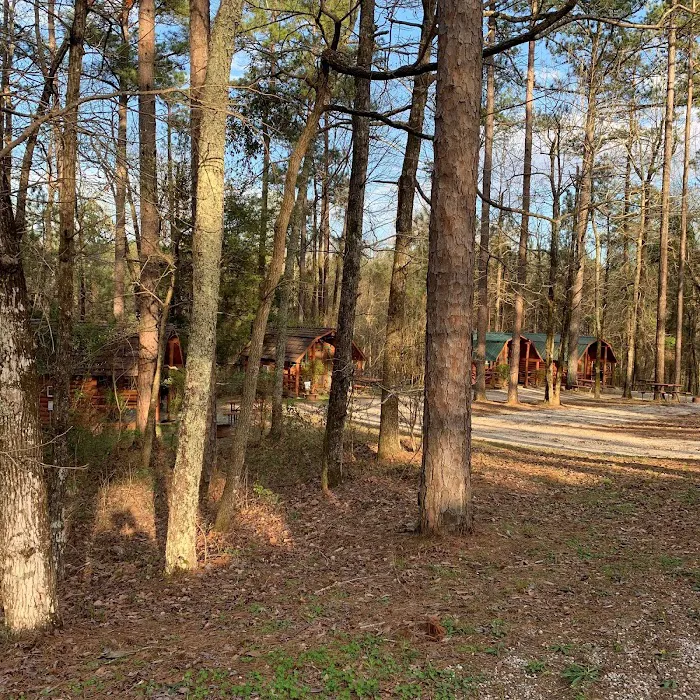 Meridian East / Toomsuba KOA Journey Picture 2