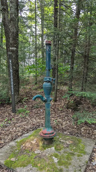 Horseshoe Lake State Forest Campground Picture 2