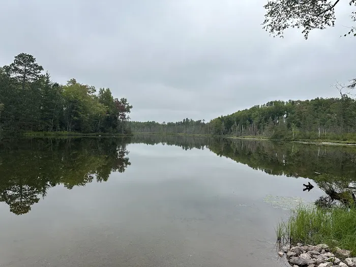 Horseshoe Lake State Forest Campground Picture 3