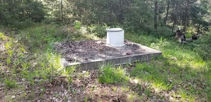 Horseshoe Lake State Forest Campground Picture 5