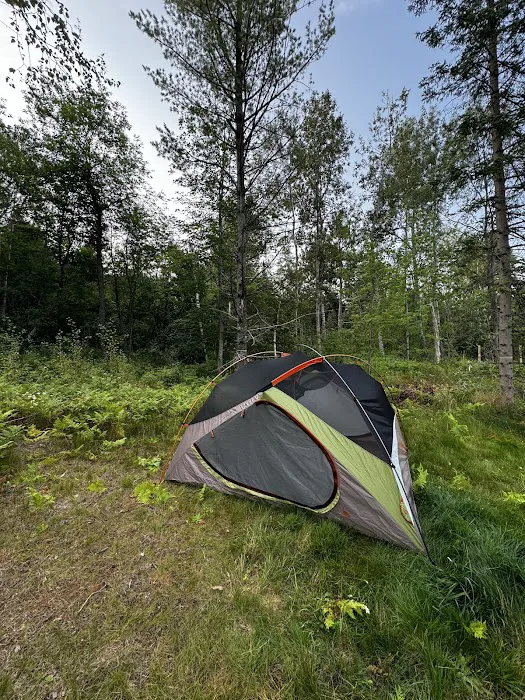 Brasswire Campground Picture 7