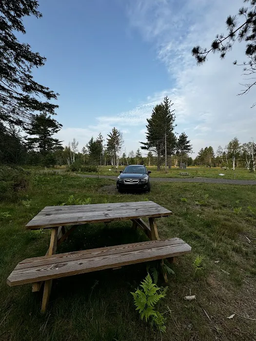 Brasswire Campground Picture 5