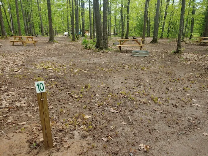 Forestville Campground Picture 1