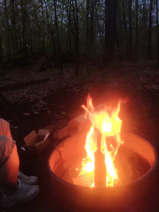 Forestville Campground Picture 6