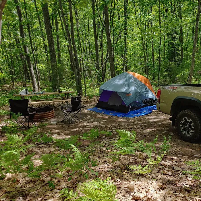 Forestville Campground Picture 5