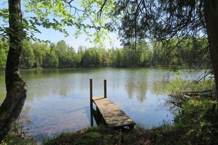 Ski-kwe zaag'igan (Squaw Lake) State Forest Campground Picture 3