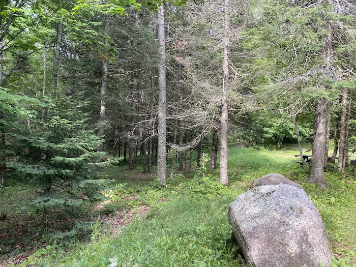 Ski-kwe zaag'igan (Squaw Lake) State Forest Campground Picture 8