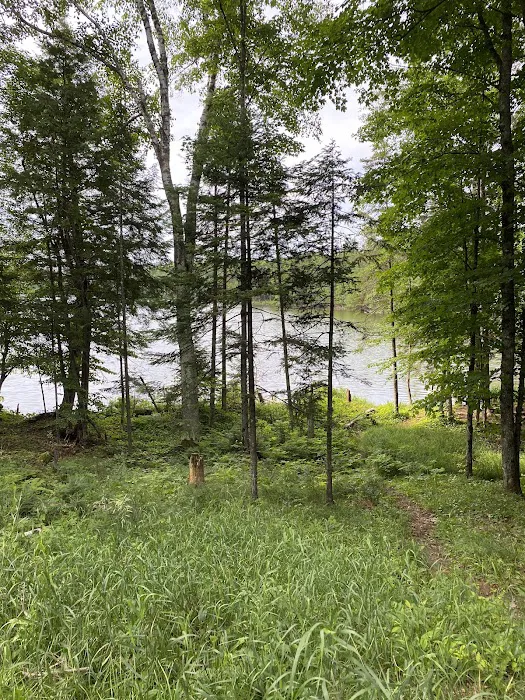 Ski-kwe zaag'igan (Squaw Lake) State Forest Campground Picture 7