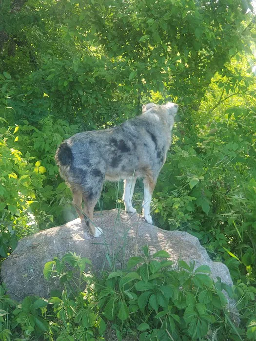 Park City Lodge and Resort Picture 2