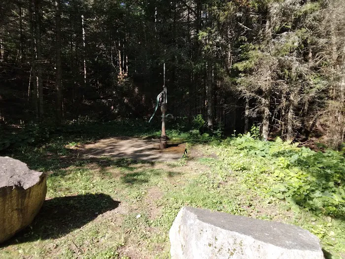 Moose Rapids Campground Picture 9