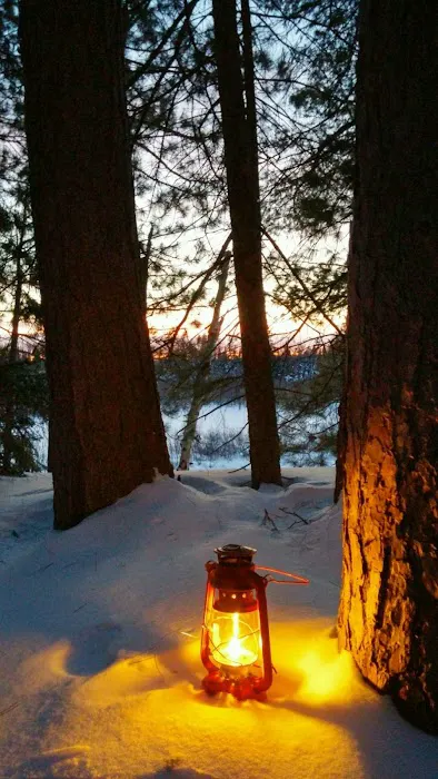 Rustic Peshekee Cabin Picture 9