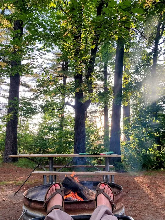 Rustic Peshekee Cabin Picture 4