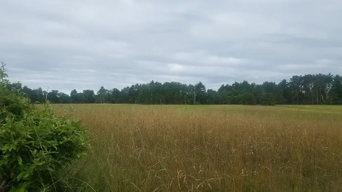 Summer Breeze Campground Picture 5