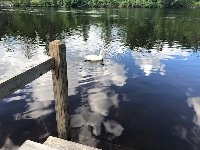 Rivers Bend RV Resort & Campground Picture 8