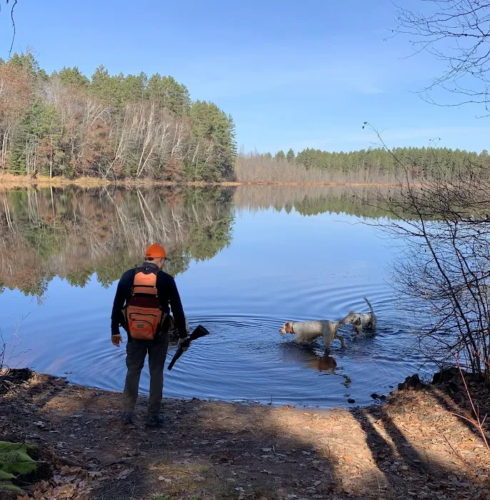Glidden Lake State Forest Campground Picture 6