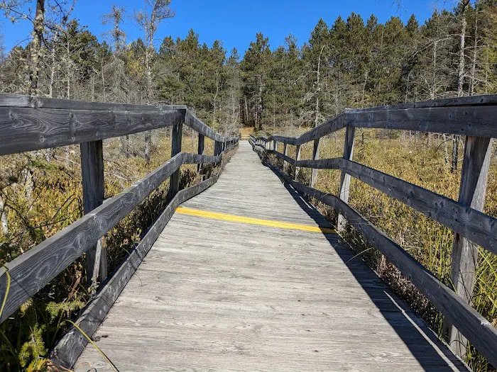 Glidden Lake State Forest Campground Picture 2