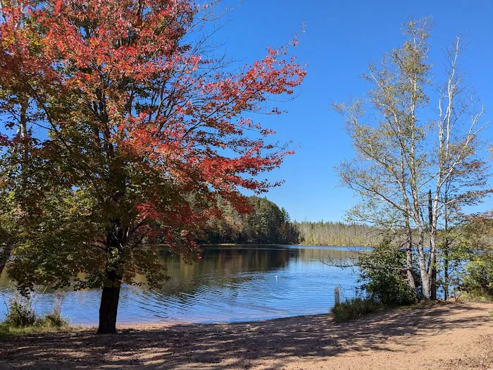 Glidden Lake State Forest Campground Picture 7